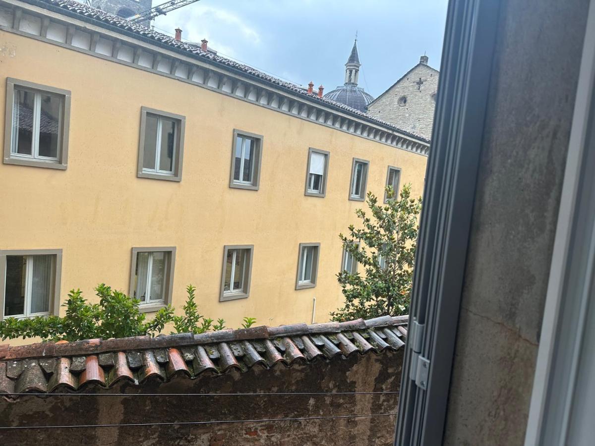 Feel - Vivid Bergamo